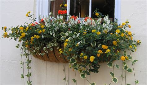 window hay rack planters